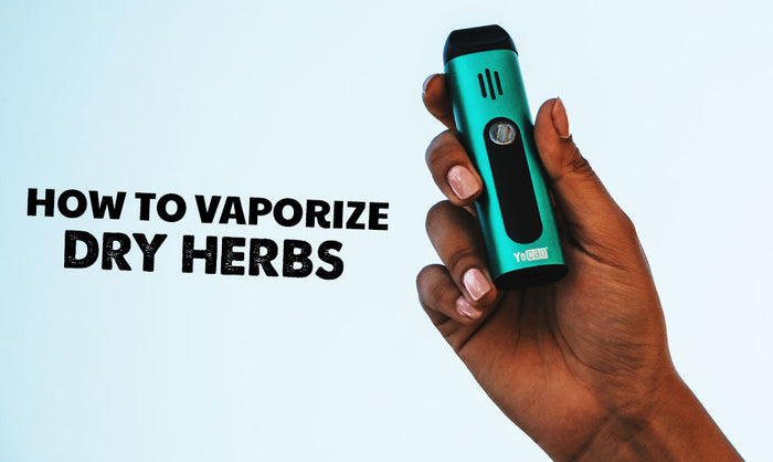 Cómo vaporizar hierbas secas 101 