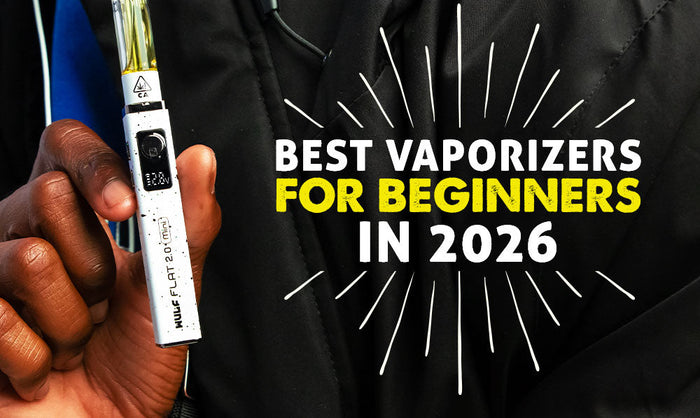 Los mejores vaporizadores para principiantes en 2026