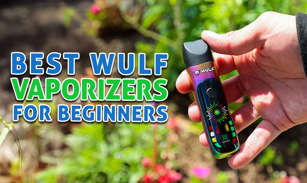 man holding Wulf Budr Concentrate Vaporizer with grass background and text