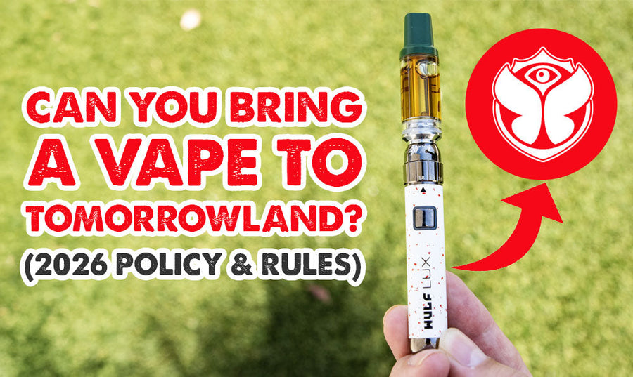 ¿Puedes llevar un vapeador a Tomorrowland? (Política y normas de 2026)